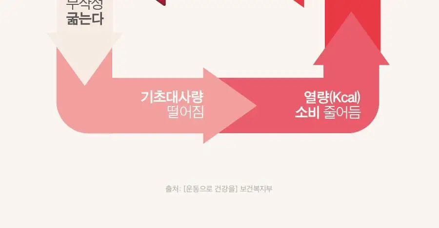 [헬로키티콜라보] 콜레올로지 PRO 600mg*30/60정 단품/기획(+키링증정) 상세페이지 51